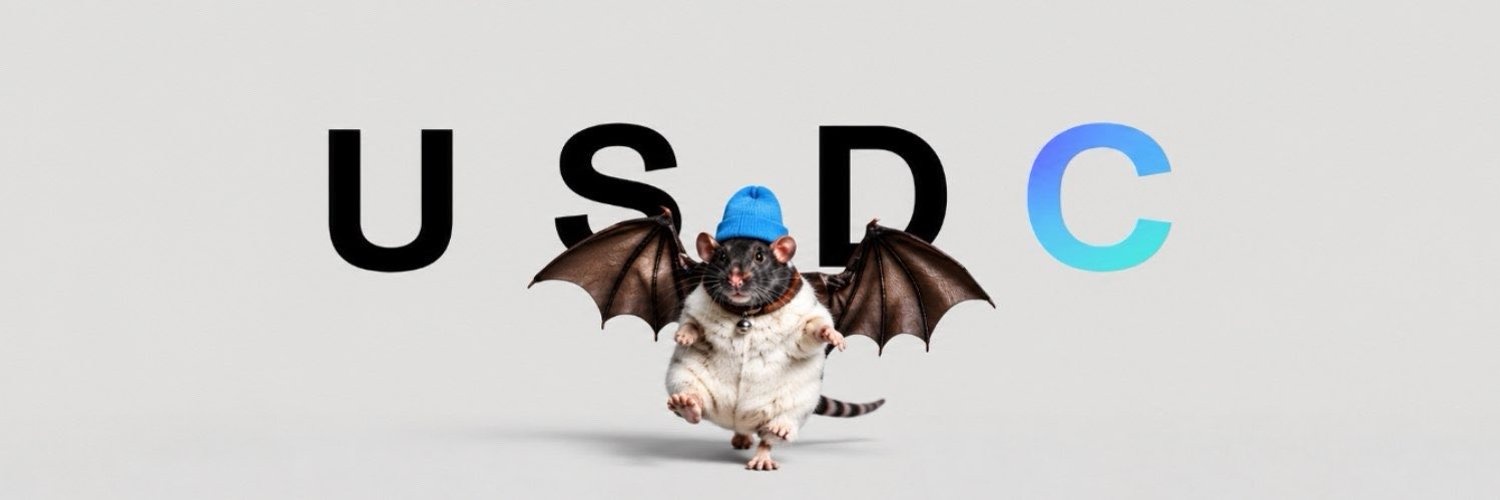 FatCatBatRatWifHat — bat-winged rat wearing a blue beanie